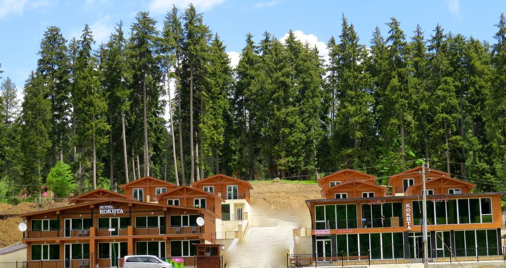 Chalet Kokhta Bakuriani Zewnętrze zdjęcie